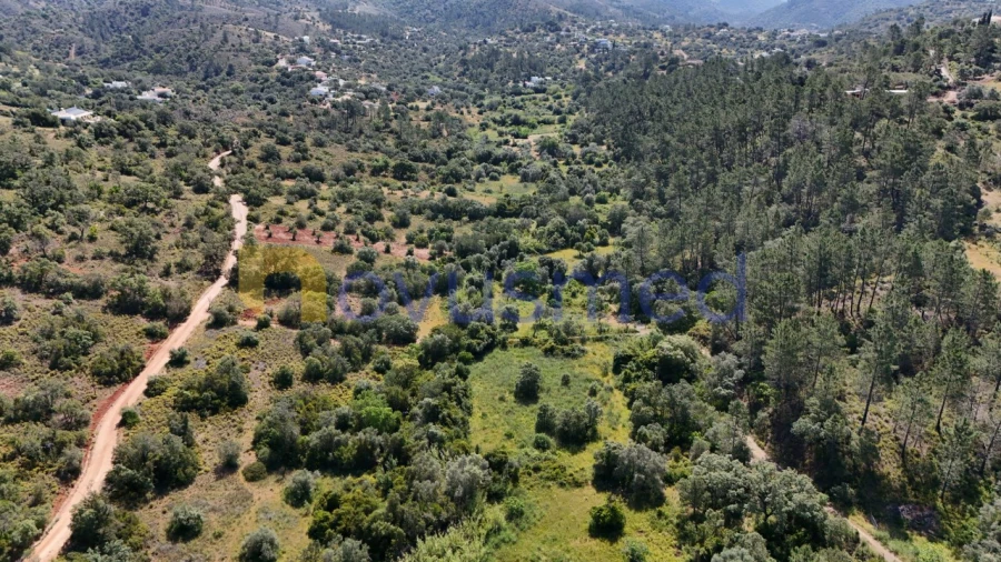 Terreno Agricola ou Rústico para Venda em Querença, Tôr e Benafim Foto 8