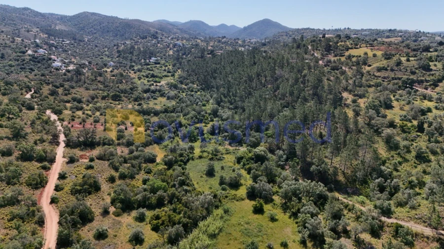 Terreno Agricola ou Rústico para Venda em Querença, Tôr e Benafim Foto 10
