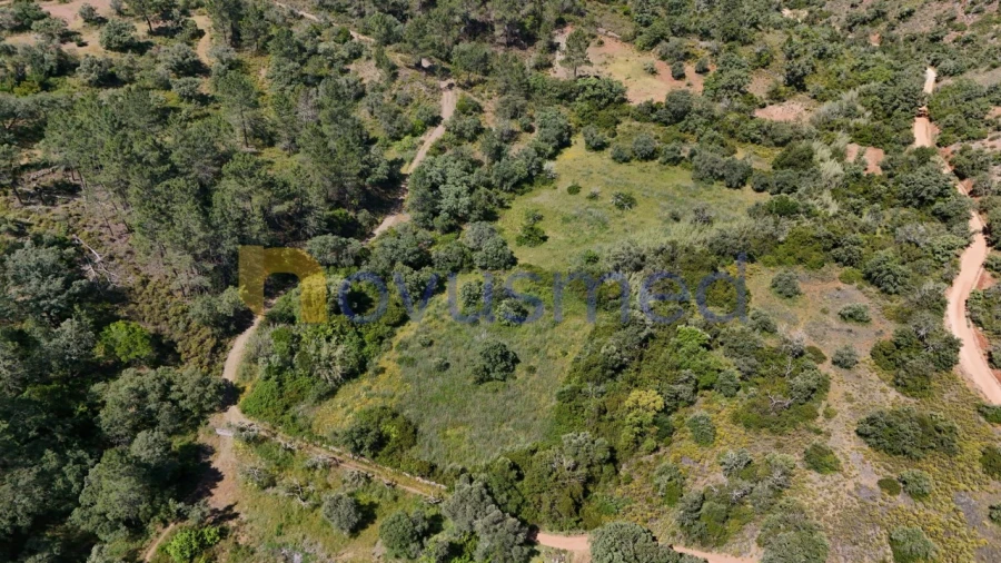 Terreno Agricola ou Rústico para Venda em Querença, Tôr e Benafim Foto 1