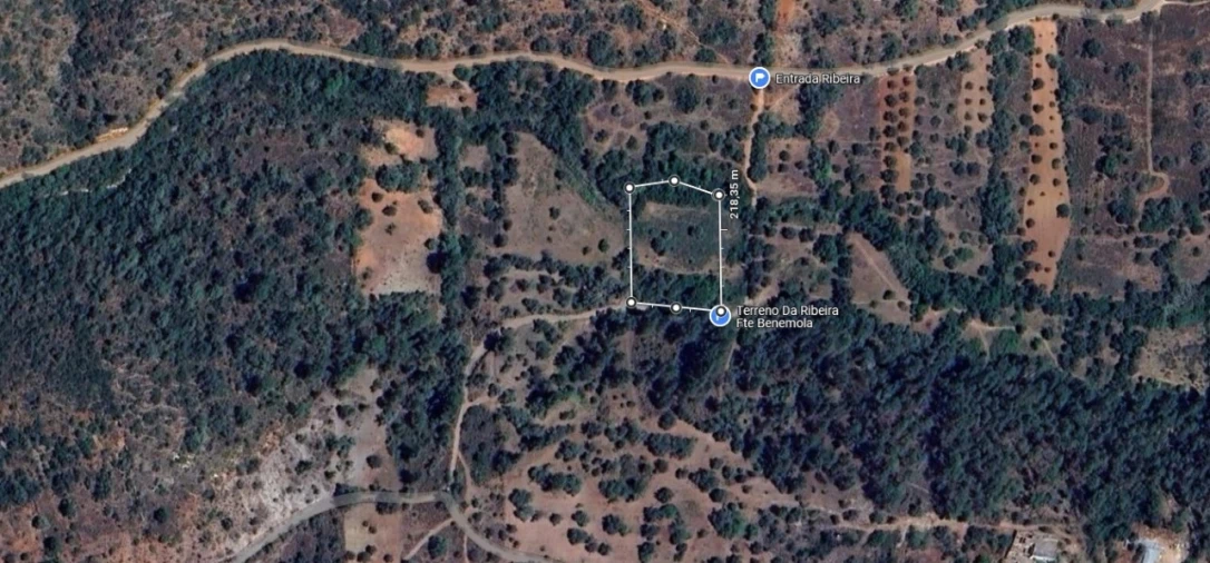 Terreno Agricola ou Rústico para Venda em Querença, Tôr e Benafim Planta 1