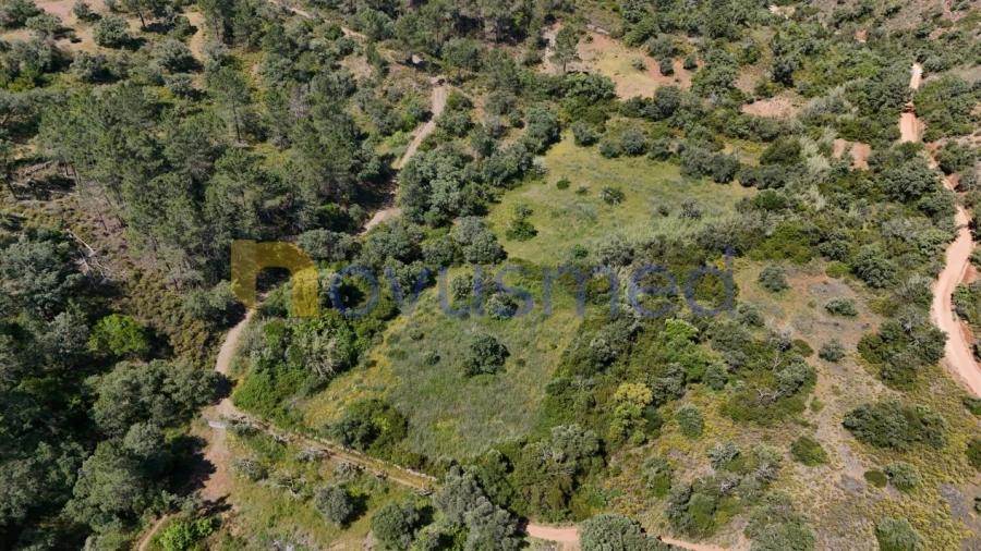 Terreno Agricola ou Rústico para Venda em Querença, Tôr e Benafim