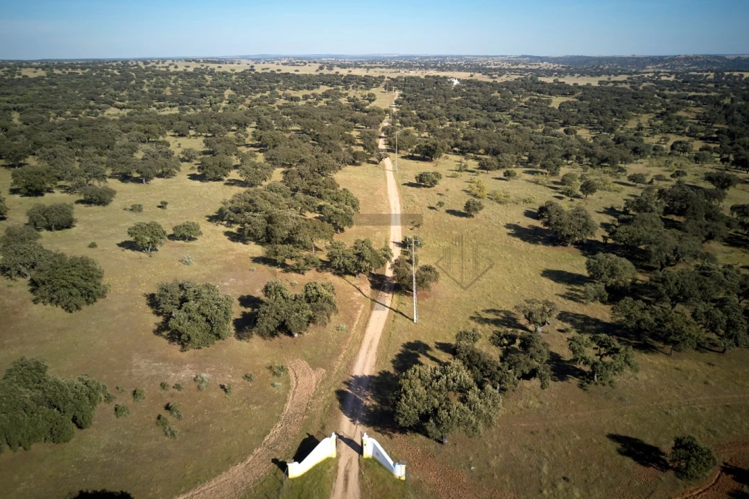 Quinta T8 para Venda em Monforte Foto 3