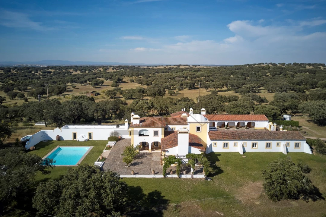 Quinta T8 para Venda em Monforte Foto 13