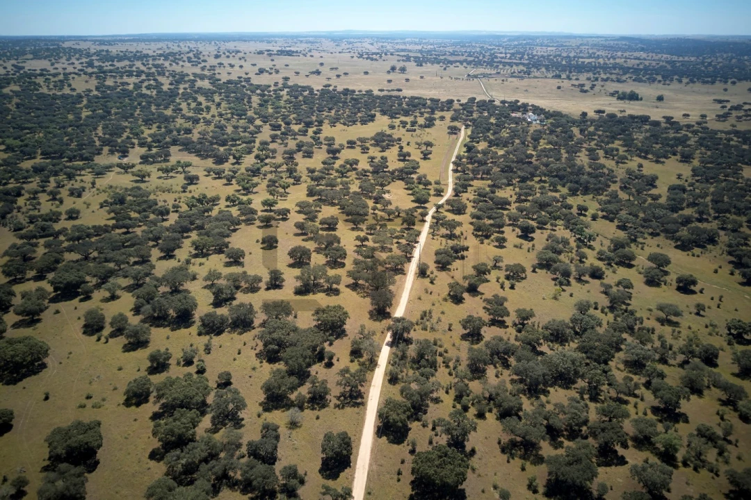 Quinta T8 para Venda em Monforte Foto 22