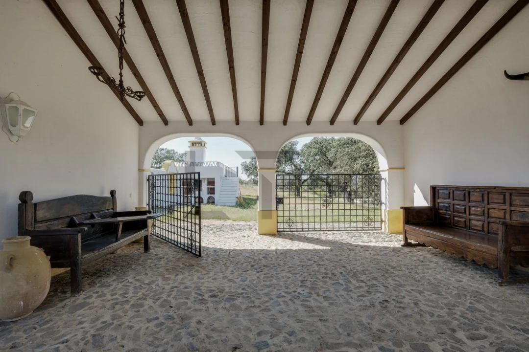 Quinta T8 para Venda em Monforte Foto 29