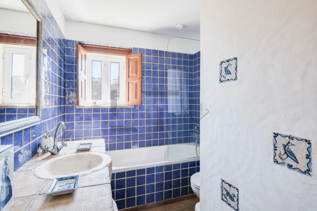 Quinta T8 para Venda em Monforte Foto 45