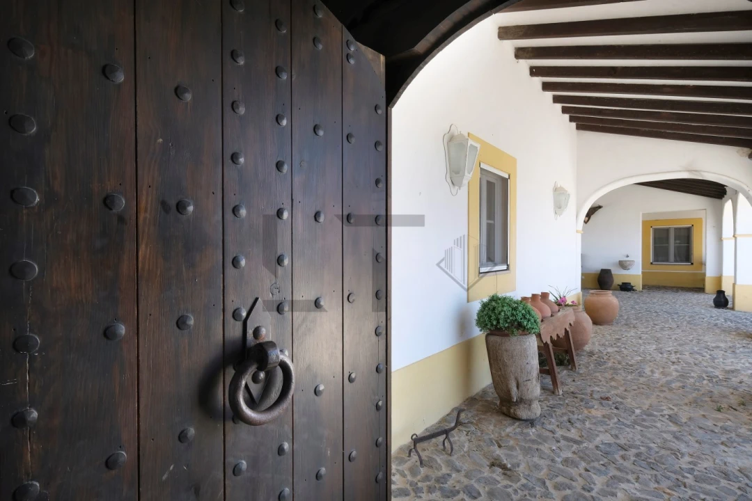 Quinta T8 para Venda em Monforte Foto 83