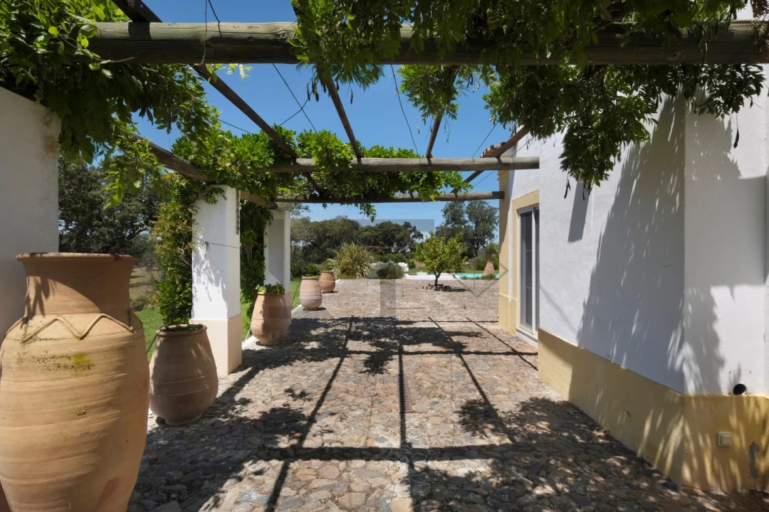 Quinta T8 para Venda em Monforte Foto 85