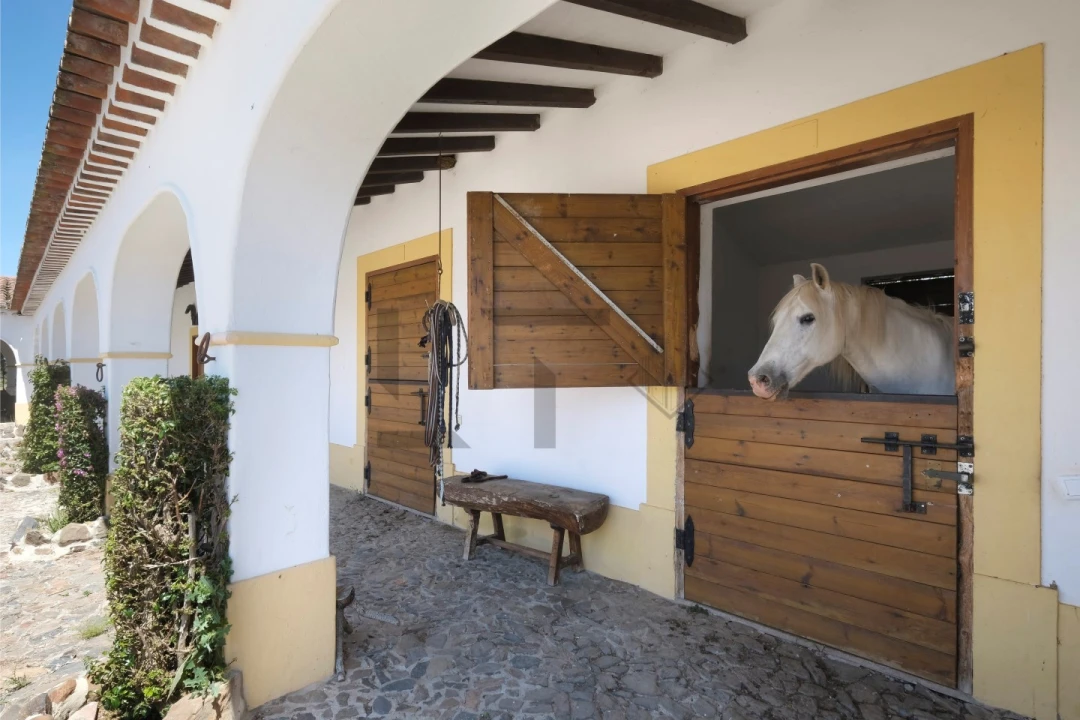 Quinta T8 para Venda em Monforte Foto 95