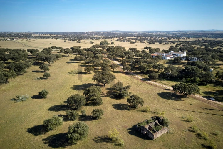 Quinta T8 para Venda em Monforte Foto 6