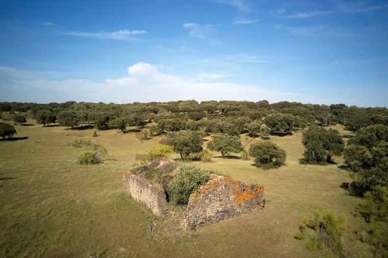Quinta T8 para Venda em Monforte Foto 9