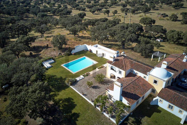 Quinta T8 para Venda em Monforte Foto 11