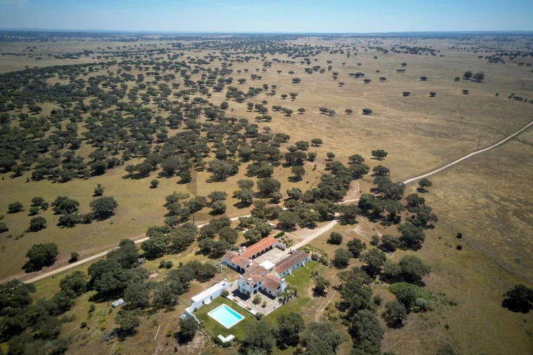 Quinta T8 para Venda em Monforte Foto 20