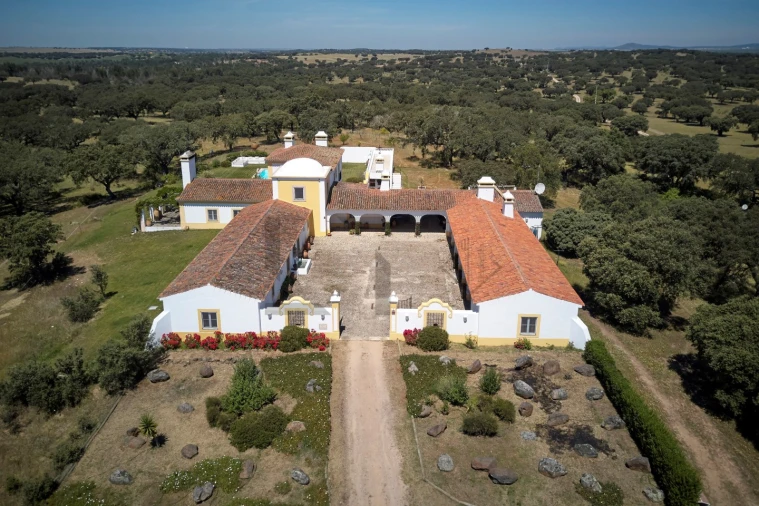 Quinta T8 para Venda em Monforte Foto 23