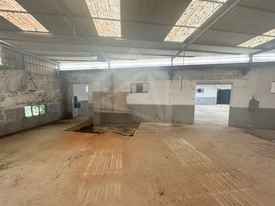 Armazém para Venda em Mangualde, Mesquitela e Cunha Alta Foto 15