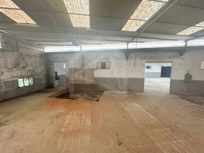 Armazém para Venda em Mangualde, Mesquitela e Cunha Alta Foto 15