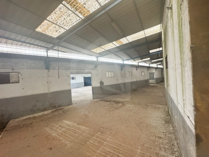 Armazém para Venda em Mangualde, Mesquitela e Cunha Alta Foto 16
