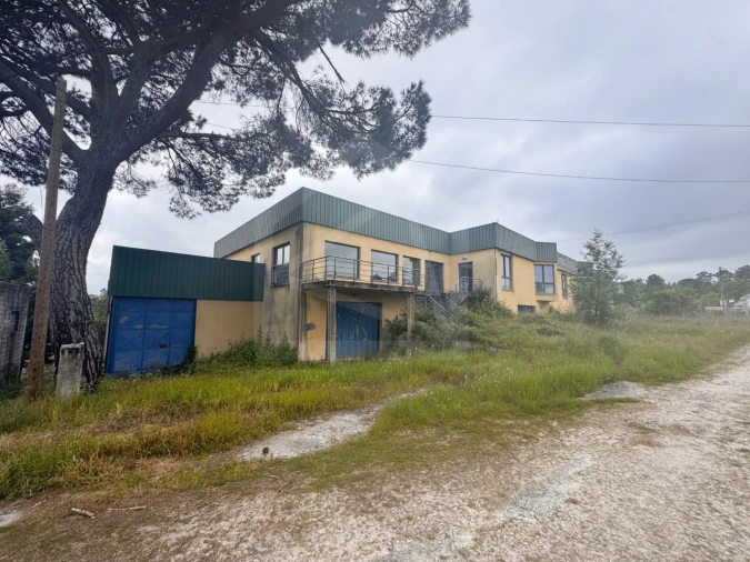 Armazém para Venda em Mangualde, Mesquitela e Cunha Alta Foto 19