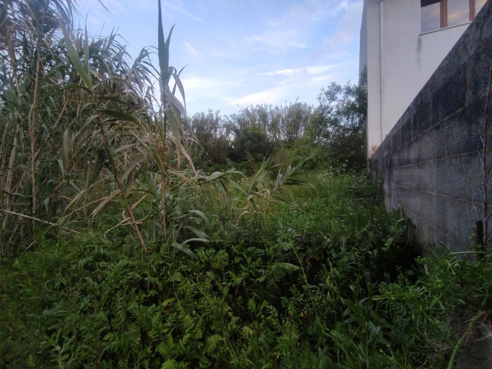 Terreno para Venda em Palhaça Foto 10