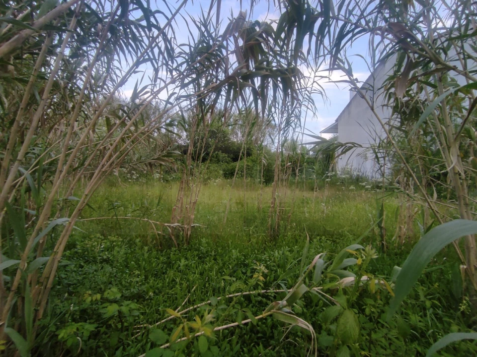 Terreno para Venda em Palhaça Foto 13
