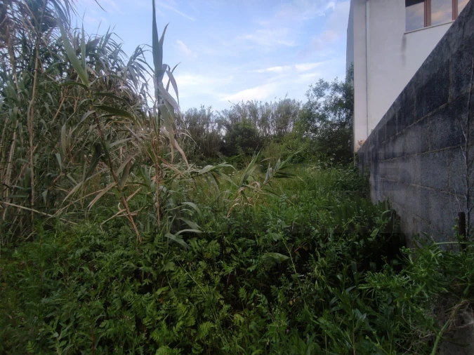 Terreno para Venda em Palhaça Foto 19