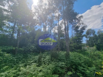 Terreno para Venda em Sandim, Olival, Lever e Crestuma