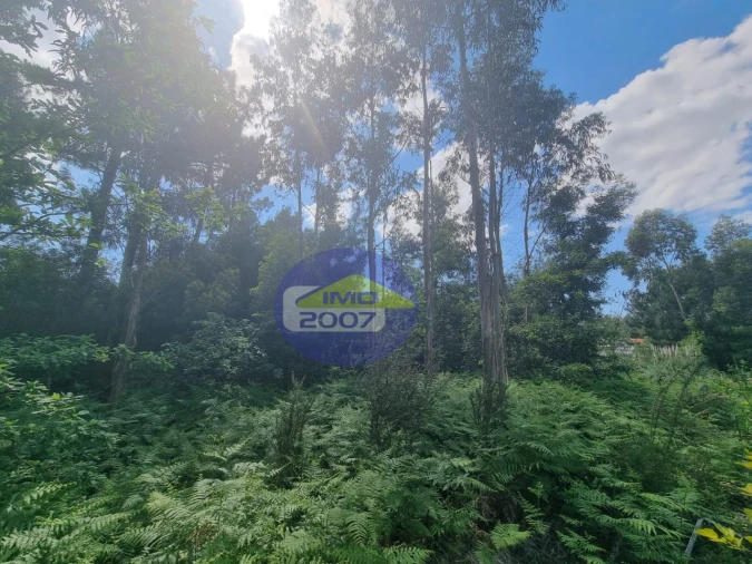 Terreno para Venda em Sandim, Olival, Lever e Crestuma Foto 7