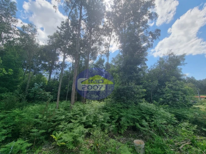Terreno para Venda em Sandim, Olival, Lever e Crestuma Foto 9