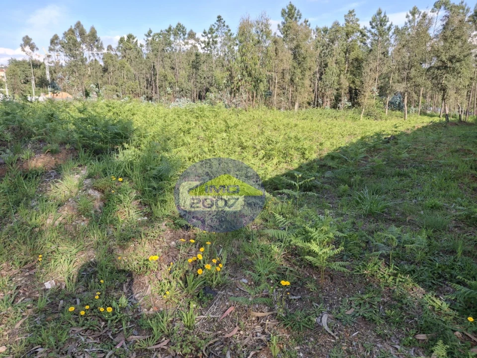 Terreno Agricola ou Rústico para Venda em São João de Ver Foto 5