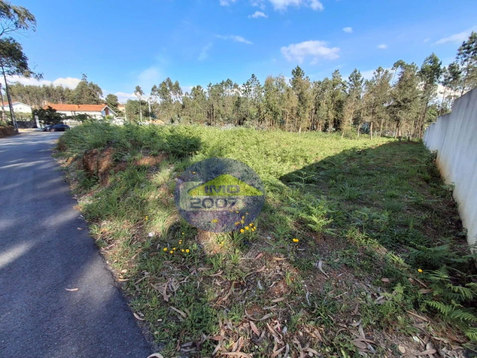 Terreno Agricola ou Rústico para Venda em São João de Ver Foto 6