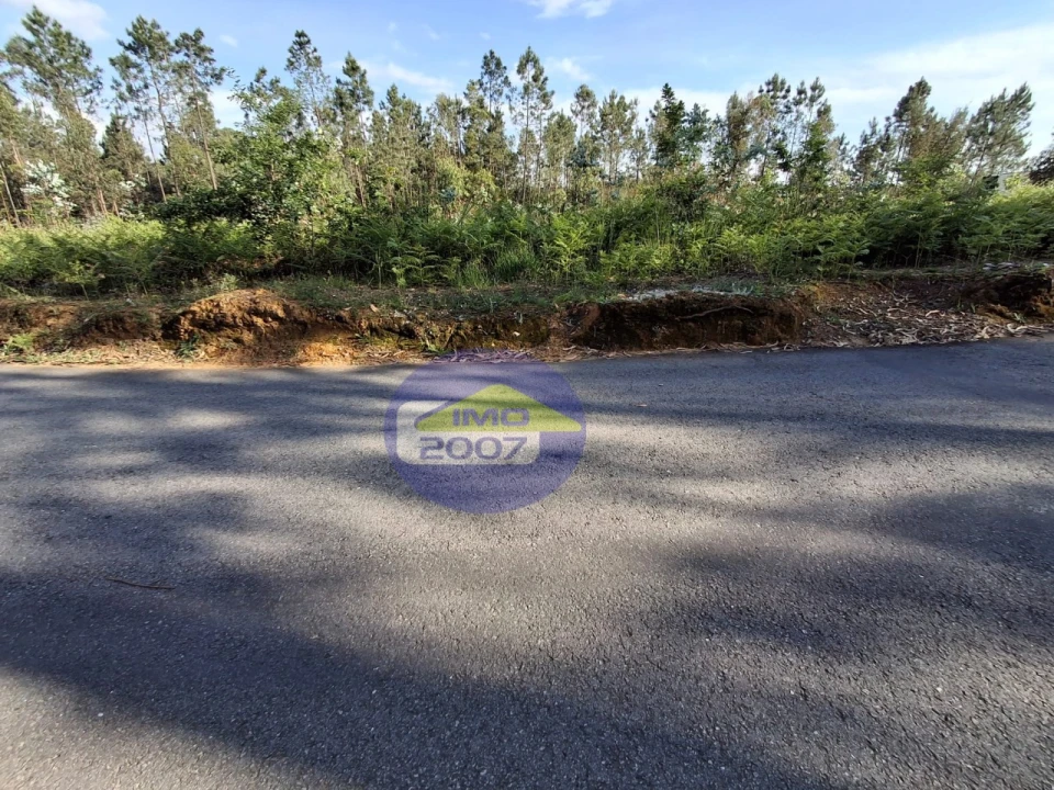 Terreno Agricola ou Rústico para Venda em São João de Ver Foto 7
