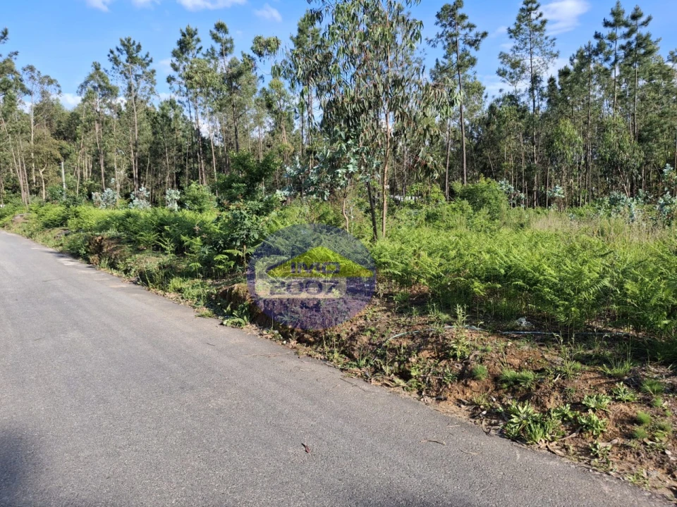 Terreno Agricola ou Rústico para Venda em São João de Ver Foto 17
