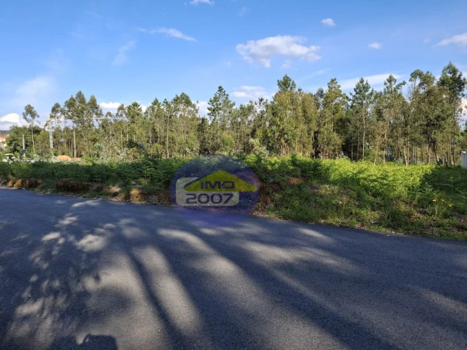Terreno Agricola ou Rústico para Venda em São João de Ver Foto 2