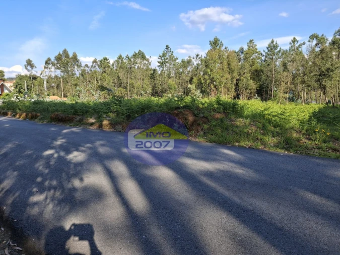 Terreno Agricola ou Rústico para Venda em São João de Ver Foto 3