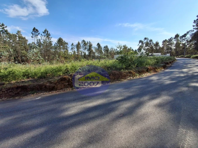 Terreno Agricola ou Rústico para Venda em São João de Ver Foto 8