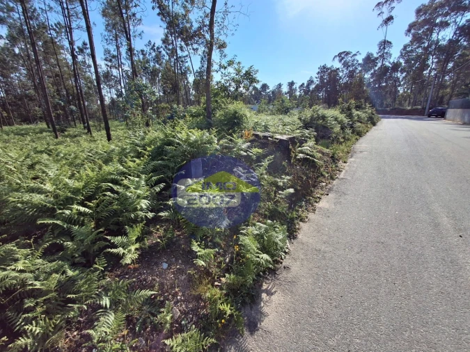 Terreno Agricola ou Rústico para Venda em São João de Ver Foto 11