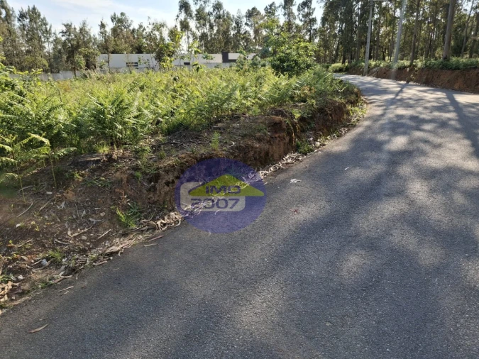 Terreno Agricola ou Rústico para Venda em São João de Ver Foto 15