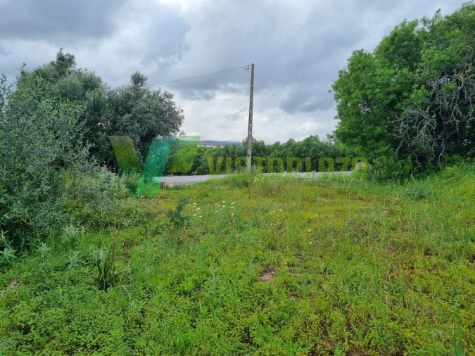 Terreno para Venda em Alvor Foto 13