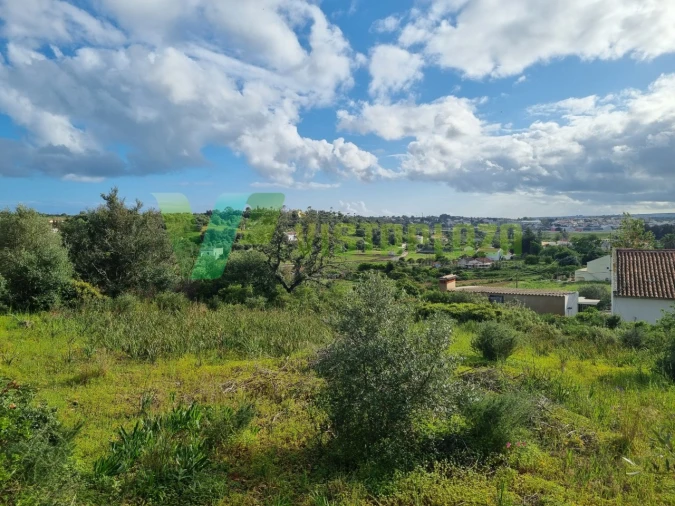 Terreno para Venda em Alvor Foto 24