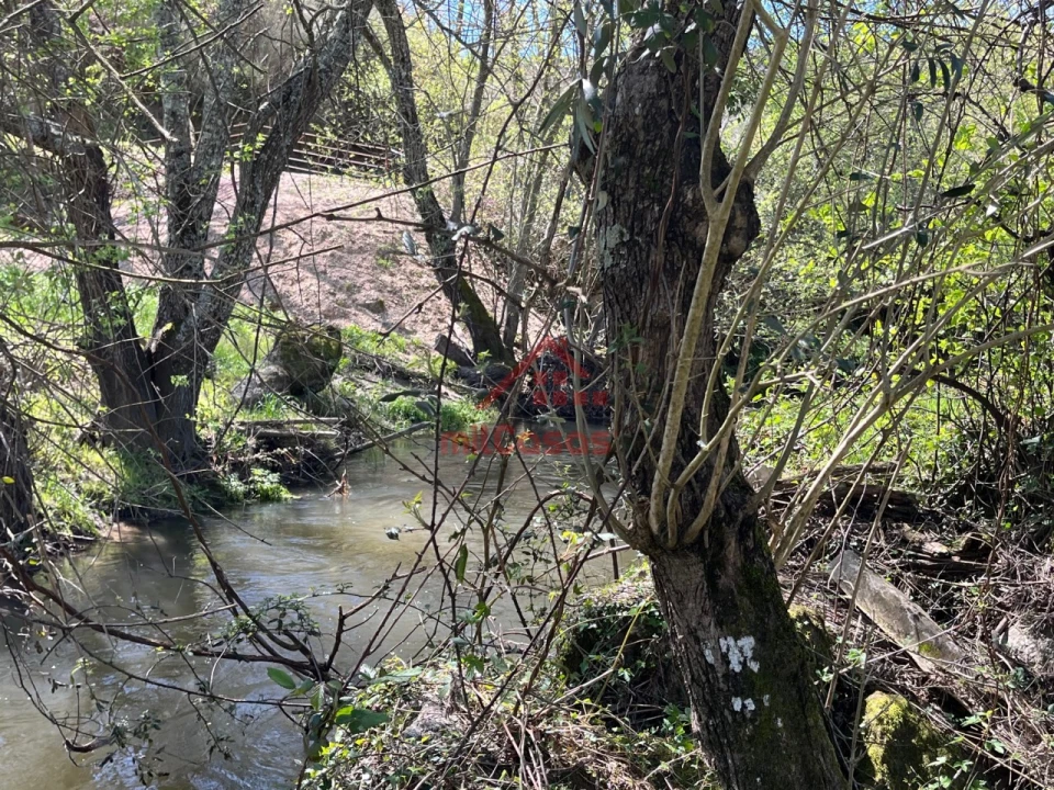 Moradia T2 para Venda em Tabua Foto 32