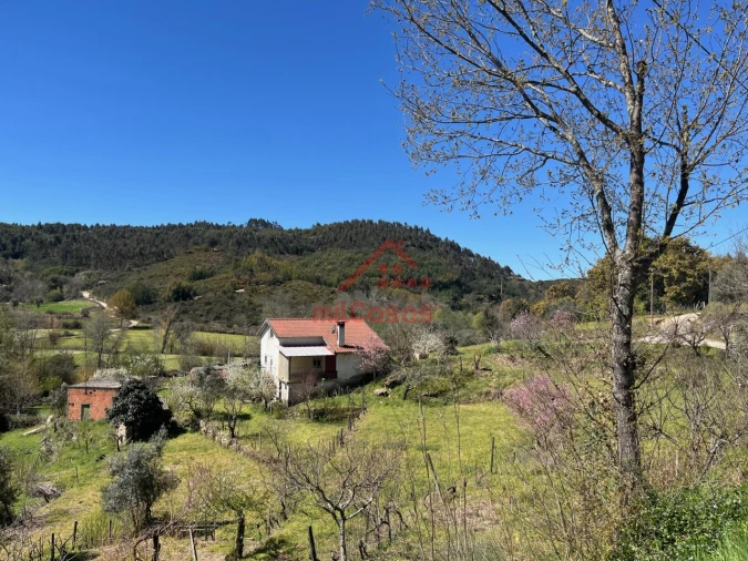 Moradia T2 para Venda em Tabua Foto 2