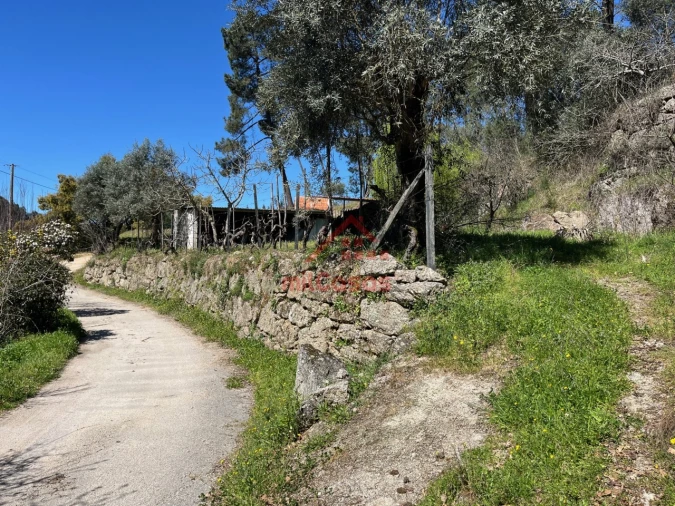 Moradia T2 para Venda em Tabua Foto 5