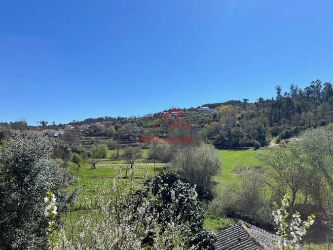 Moradia T2 para Venda em Tabua Foto 18