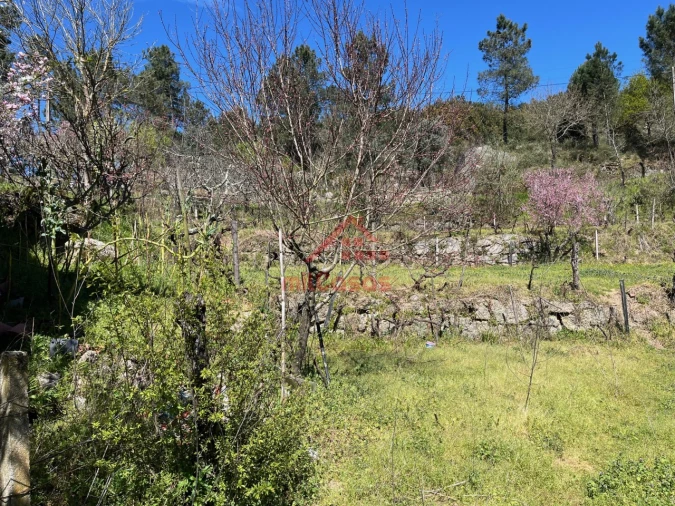 Moradia T2 para Venda em Tabua Foto 24