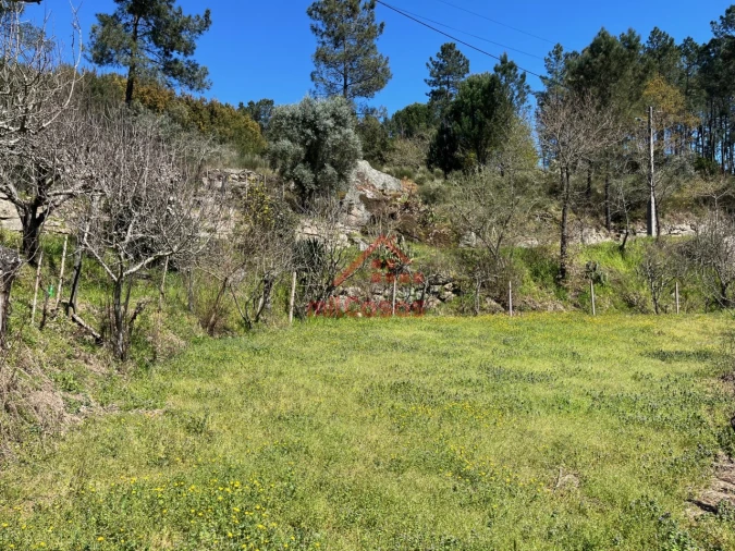 Moradia T2 para Venda em Tabua Foto 28