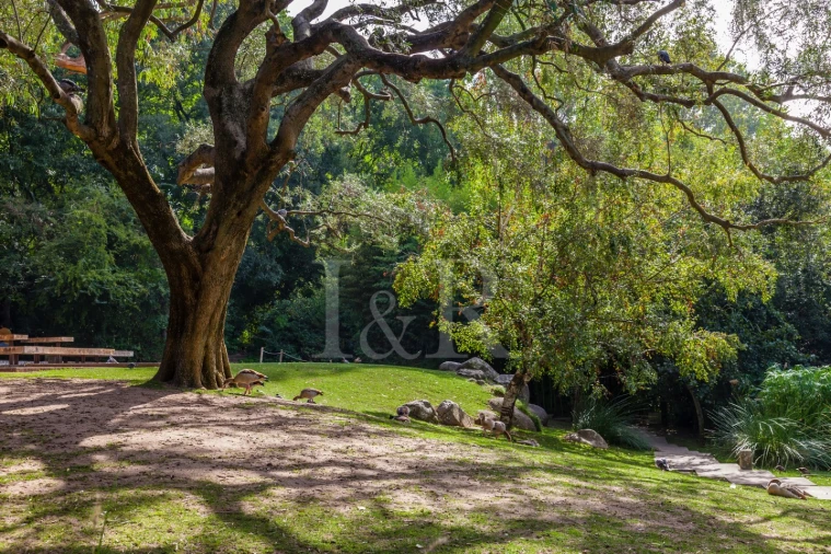 Apartamento T1 para Venda em Avenidas Novas Foto 14