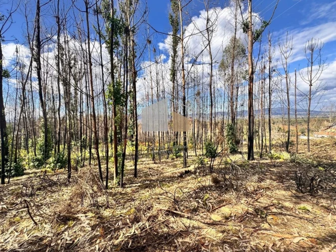 Terreno para Venda em Cornes Foto 5
