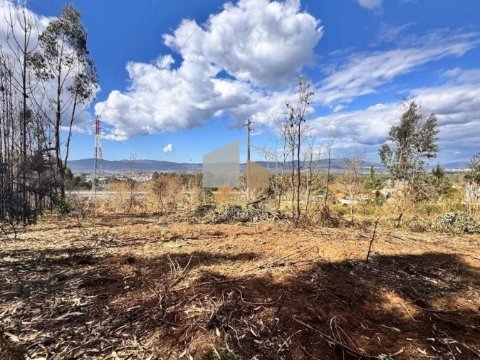 Terreno para Venda em Cornes Foto 4