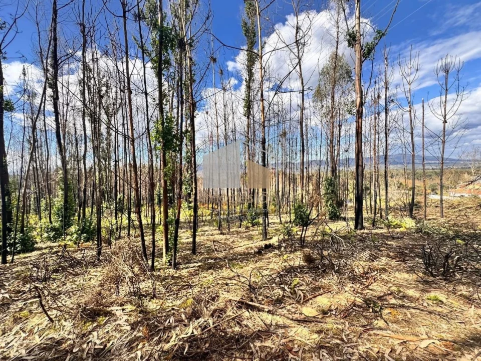 Terreno para Venda em Cornes Foto 6