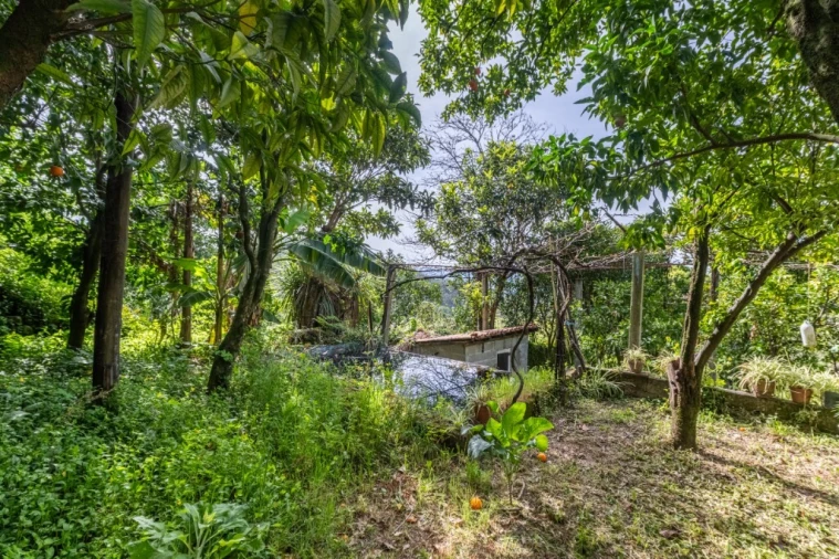 Moradia T3 para Venda em Caires Foto 22